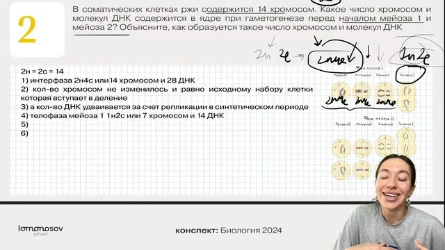 28 задания на митоз и мейоз для ЕГЭ 2024 по Биологии смотреть онлайн