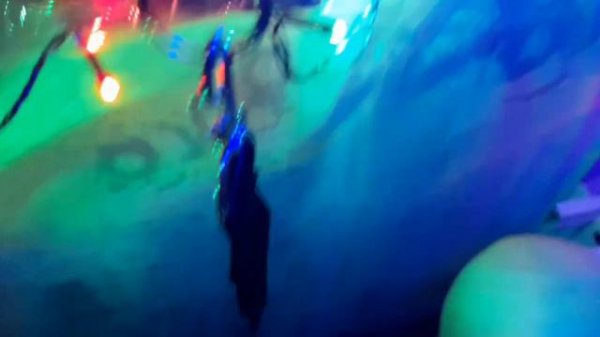 Поставил саб в свой даф, валит дико, сломал зеркало ?