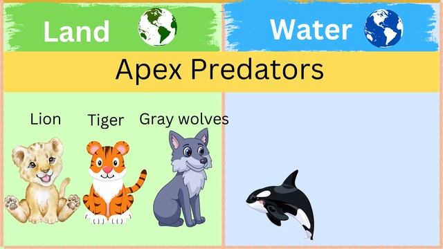 Earth land Area vs Earth Water Area | Earth Water Area vs Land Area| Comparison|@Data_Duck смотреть онлайн