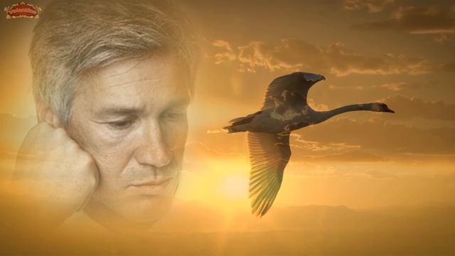 АЗАМАТ ИСЕНГАЗИН - ЛЕБЕДИ МОИ смотреть онлайн