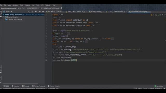PROGRAM 5: AUTOMATIC IMAGE DATASET DOWNLOADER смотреть онлайн