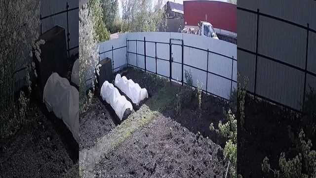 Привезли дровишки