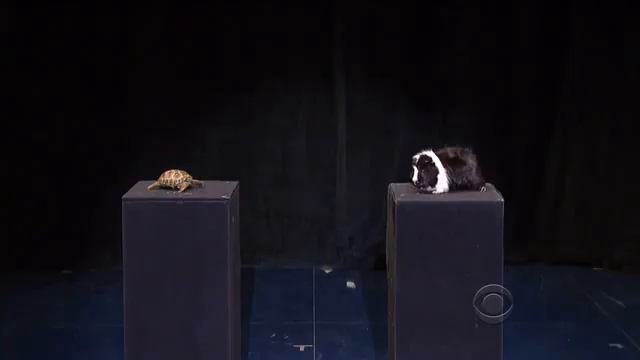 Letterman - Toronto Mayor Rob Ford - Animals Reenact News смотреть онлайн