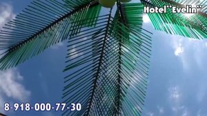 Лазаревское | Отель "Эвелин"