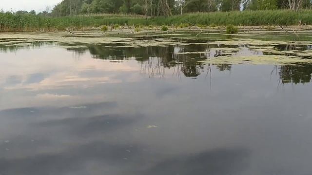 Удивительные места. Шишаки. р. Псел в 2020 году. смотреть онлайн