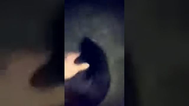 ай курва бобер хаую бомже смотреть онлайн