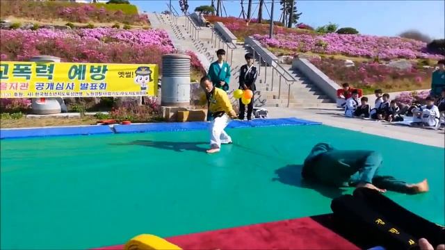 Master Maeyeol Kim. 7th Dan KOREA HAPKIDO FEDERATION смотреть онлайн