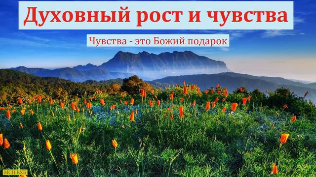 "Духовный рост и чувства". Часть 1. В. Буланов. МСЦ ЕХБ. смотреть онлайн