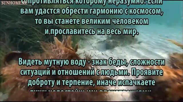 К чему снится Вода сонник, толкование сна смотреть онлайн