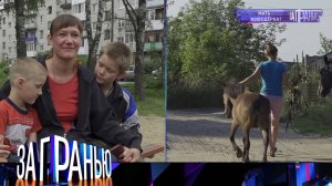 «За гранью»: «Мать — живодерка?» | Выпуск от 1 сентября 2022 года