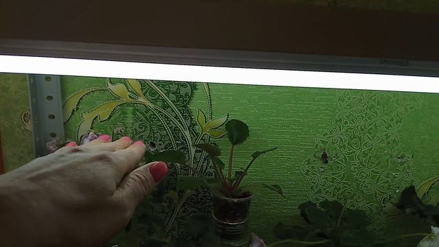 Строительная Таймлайн