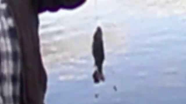 рыбалка в Ульяновске смотреть онлайн