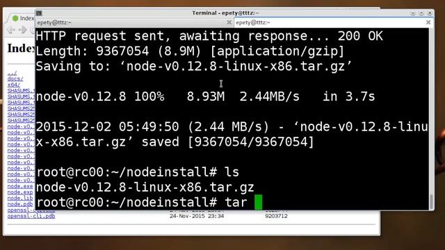 Install Nodejs for any Linux distribution смотреть онлайн