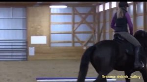 Ошибки посадки. Как перестать ,,плюхаться,, на рыси и галопе ;)