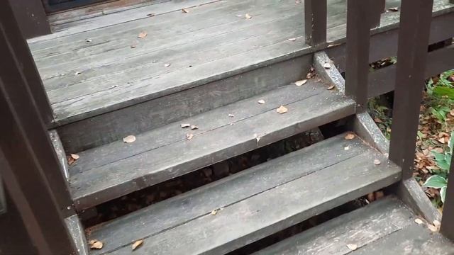 (205) Наша дача в октябре 2023 года смотреть онлайн