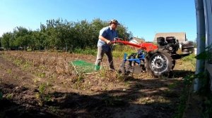 КАРТОФЕЛЕКОПАЛКА и МОТОБЛОК с НУЛЕВЫМИ настройками. #мотоблок #картофелекопалка