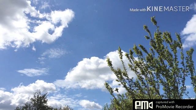 Как снимать качественное видео на смартфон? iphone 6s смотреть онлайн