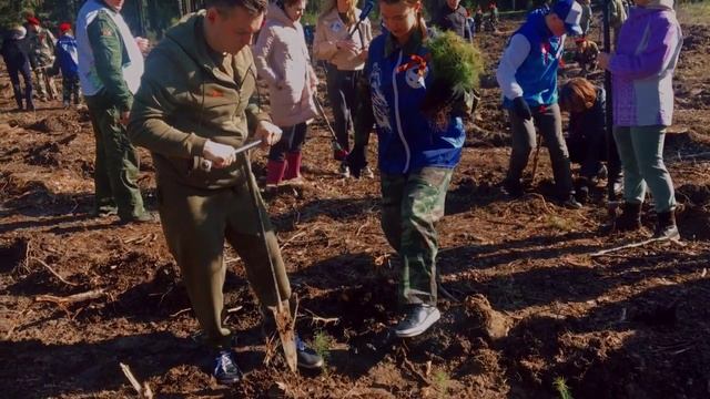 Сад памяти 2023 смотреть онлайн