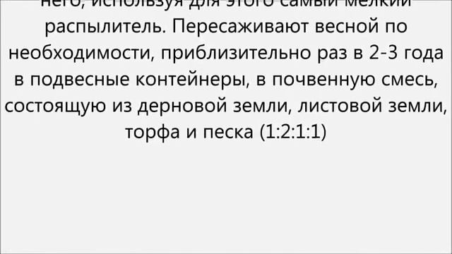 Плющ комнатный уход смотреть онлайн