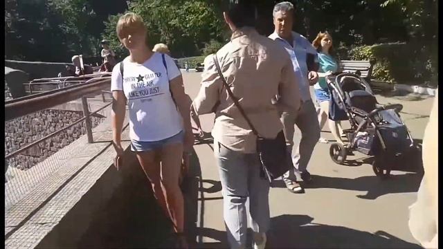 МАСТЕР КЛАСС ОТ ДОМИНИКА КАК НУЖНО ЗВАТЬ ТИГРА смотреть онлайн