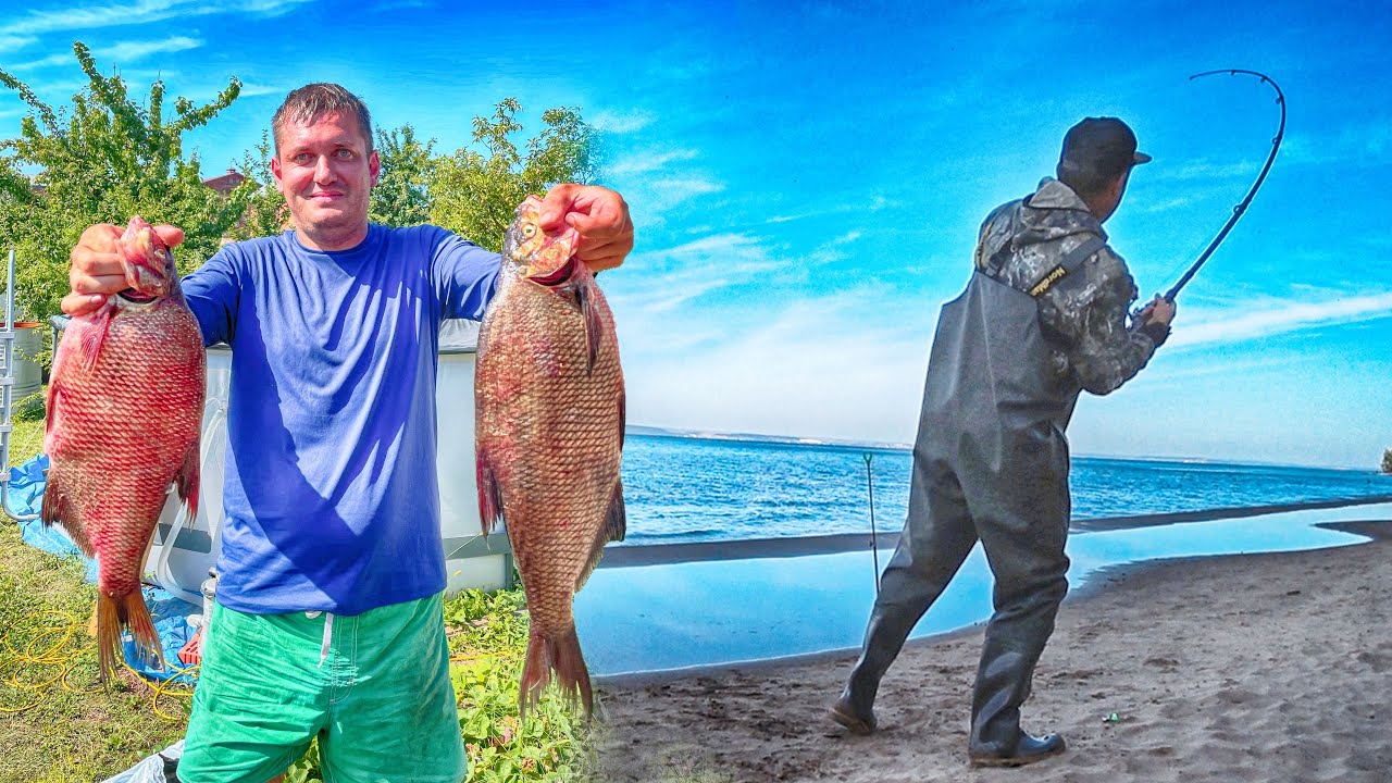 НА ЧТО Я ЛОВЛЮ КРУПНОГО ЛЕЩА_ РЫБАЛКА НА НЕУБИВАЕМУЮ НАСАДКУ! Рыбалка 2022.