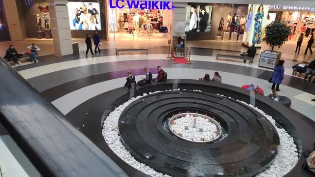 3 ноября 2023 г.