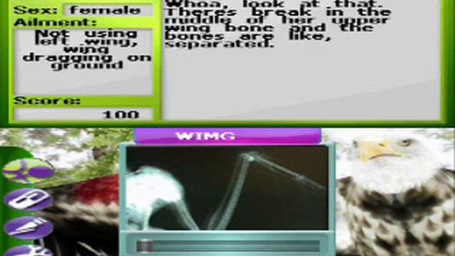 E3 2008: Zoo Vet Endangered Animals - Eagle pt 1 смотреть онлайн