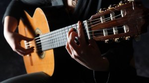 Alexander Vinitsky. Samba Yellow Camel on the classical guitar