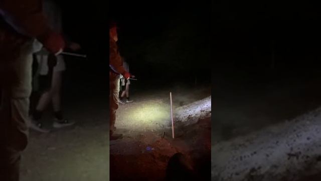 правильно рассчитал смотреть онлайн