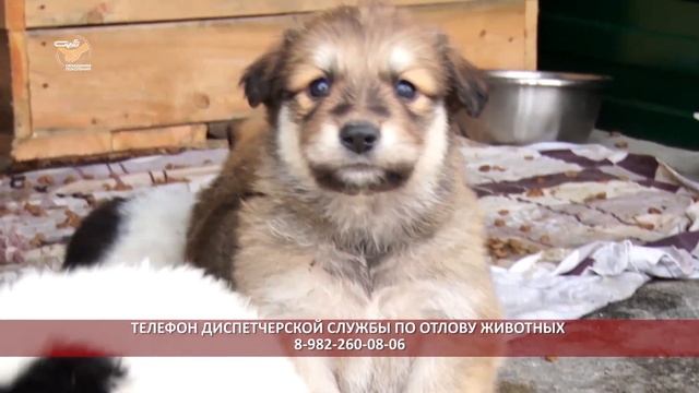 НУР24 16.09.2022 смотреть онлайн