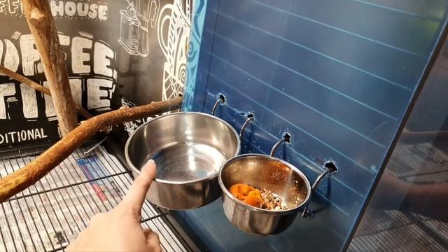 Клетка для большого попугая. Улучшение клетки. смотреть онлайн