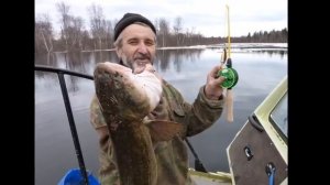 Памяти Анатолия Блюме.