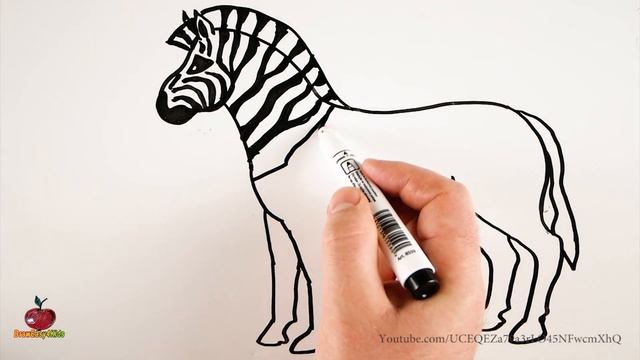 How To Draw A Zebra Easy ? Drawing On A Whiteboard