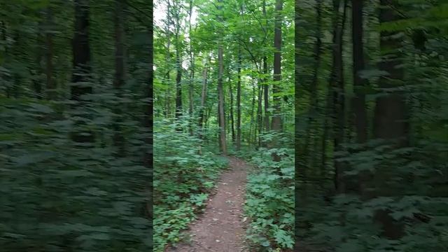 участок 30 соток зенинское шоссе, 2 км от метро Некрасовка смотреть онлайн