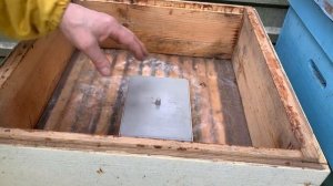 Первое весеннее утепление ульев