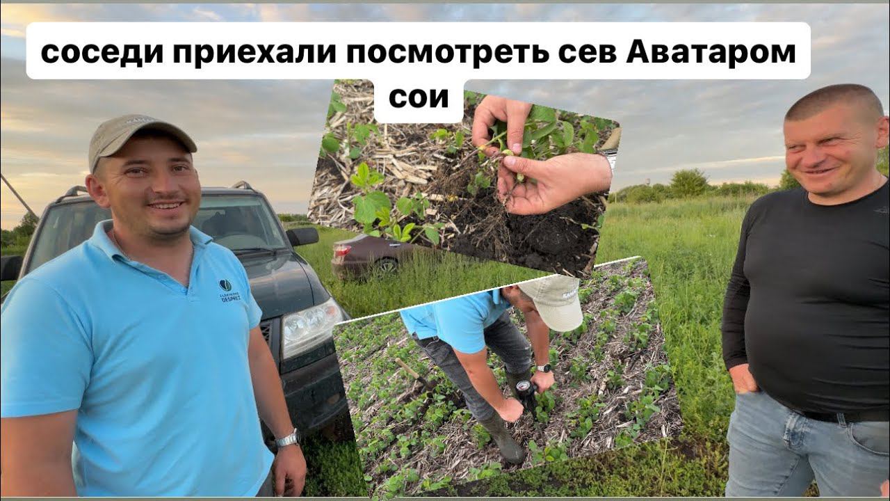 Смотрим с соседями мой сев сои сеялкой Хорш Аватар 1225SD. смотреть онлайн