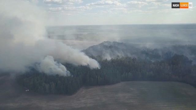 Лесной пожар в поселке Боровский добрался до старого кладбища смотреть онлайн