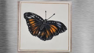 Skethbook / Speed Drawing / Drawing Animals. Drawing Battefly
