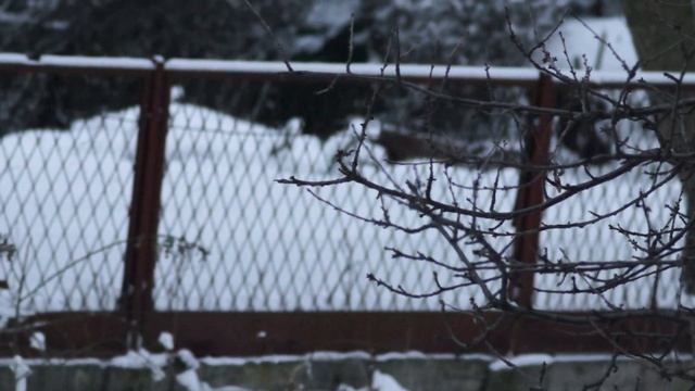 Sony SLT-A65, #1 смотреть онлайн