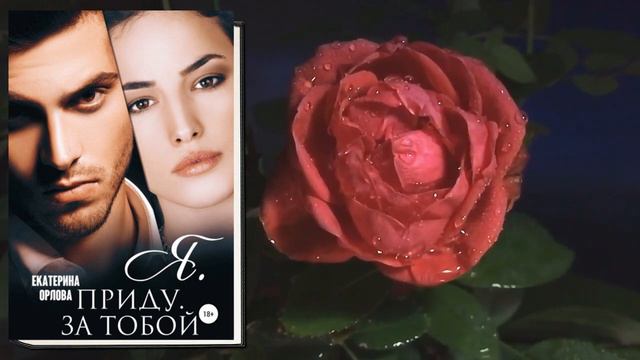 Я приду за тобой "Любовный роман" (Екатерина Орлова) Аудиокнига смотреть онлайн