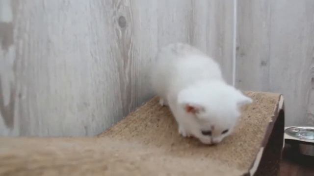 When you have 4 children! смотреть онлайн