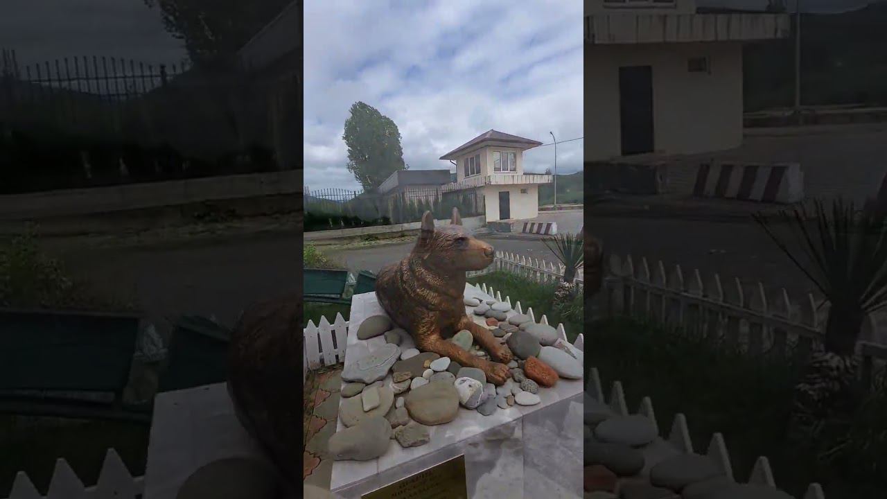 15.05.23 г. Погода Лазаревское #shorts #погодалазаревское #погодасочи смотреть онлайн