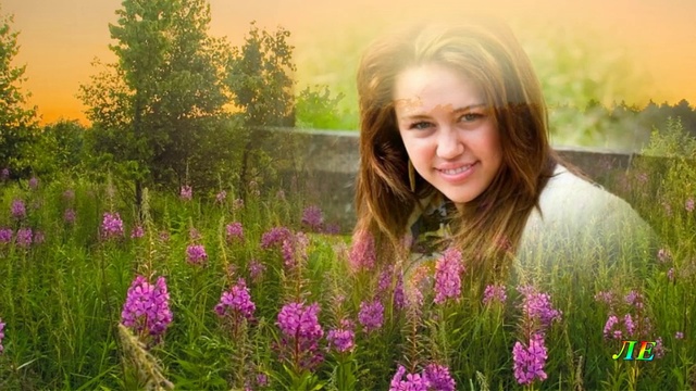 Валерий Залкин - Таня