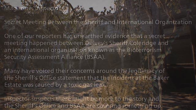 The B.S.A.A. 's Involvement in Resident Evil 8: Village смотреть онлайн