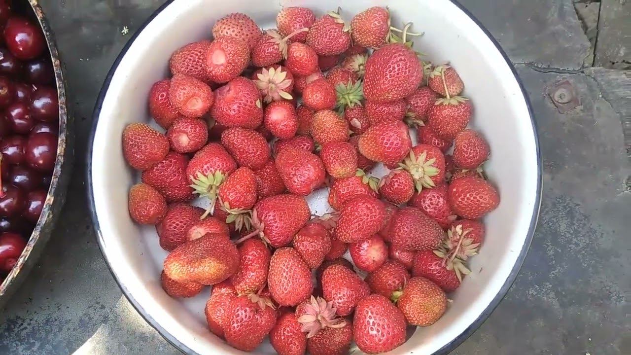 489 Немного Асгарда сНежнянского