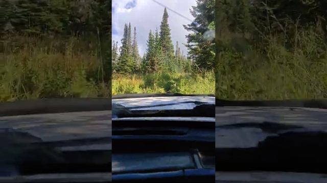 Горный Чарыш, Усть- Пихтовка, Россыпи, Чëртовы ворота, экспедиция в горы Алтая. смотреть онлайн