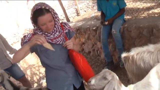 Отдых в Египте май 2014 смотреть онлайн