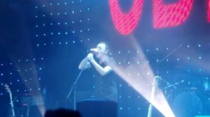 Звери-Говори  Live