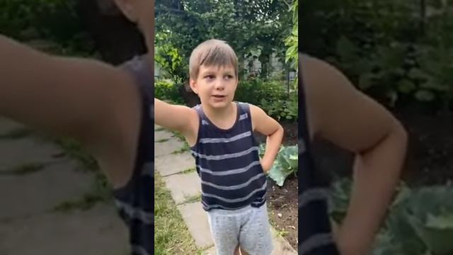 Дачный Абосус. История на даче. смотреть онлайн