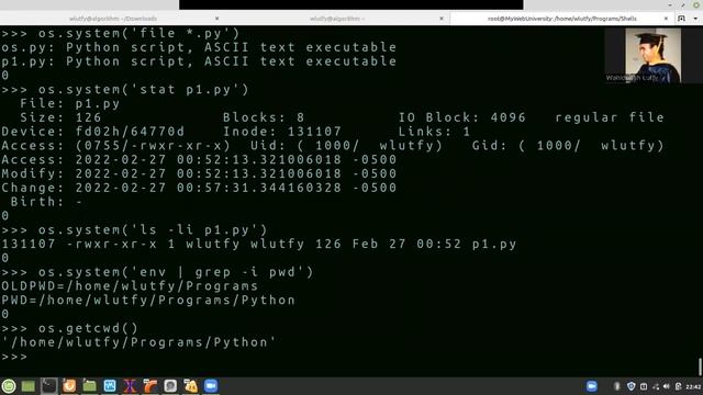 Python os and sys Modules смотреть онлайн